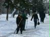 Shovel snow in Beograd